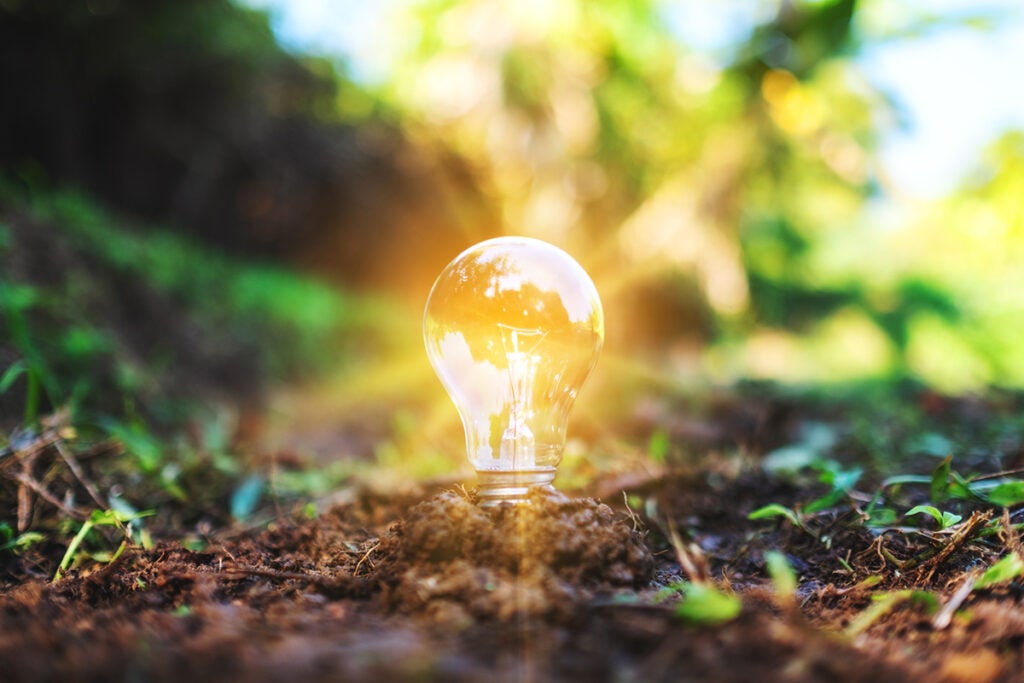 a light bulb glowing on pile of soil