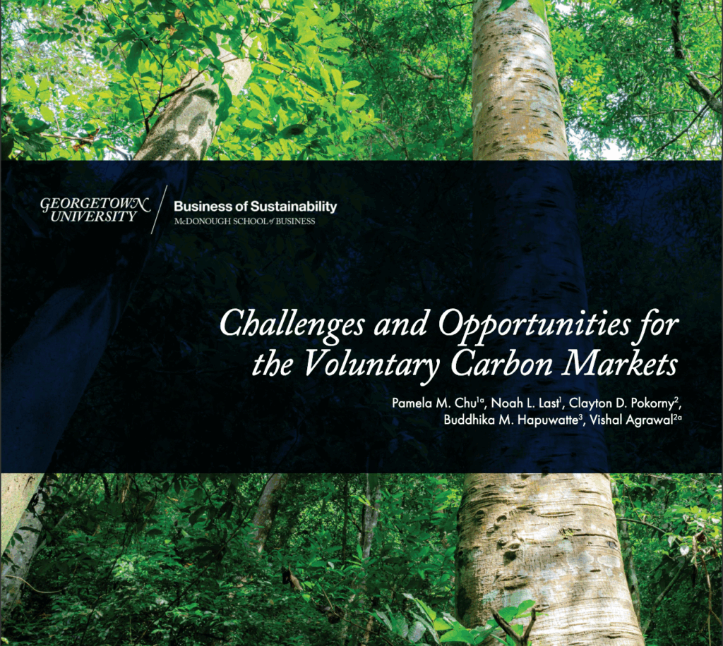 White papers challenges and opportunities for the voluntary carbon market 